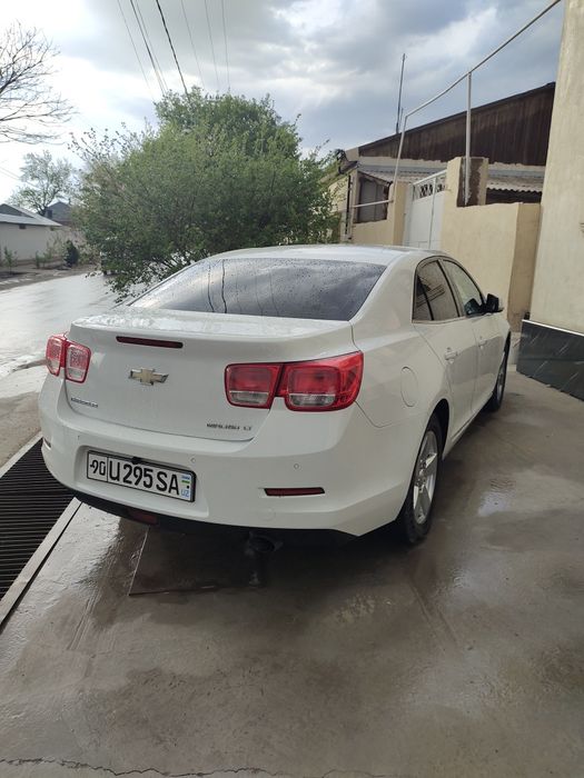 Malibu 1 (2 pozitsiya) 2014