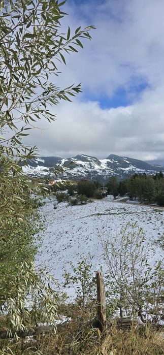 Ofertă de vânzare teren intravilan – sat Peștera, comuna Moeciu