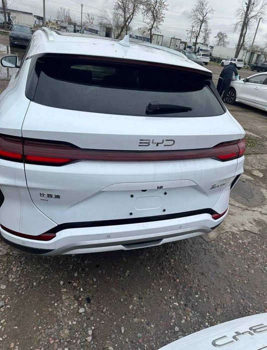 byd champion moshina vikubga