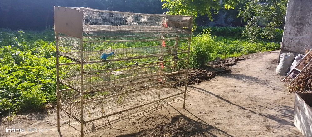 Бедана кафас сотилади 400 йоки 500та бедана бокса болади Темир хаммаси