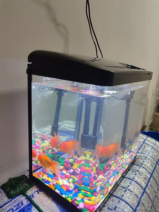 Akvarium toza Xitoy 30 LITRli