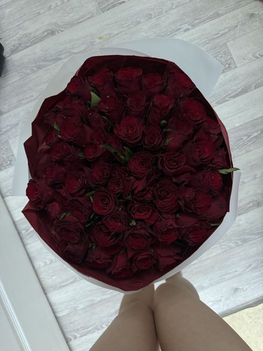 Роза красные 51шт