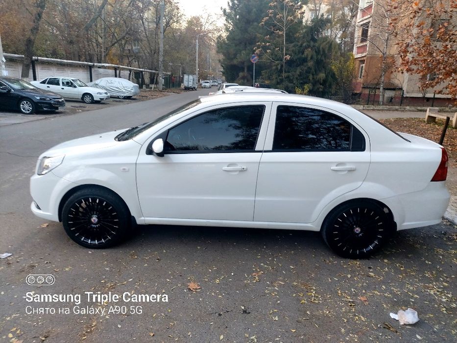 Diska balon 17 Alpina 205 45