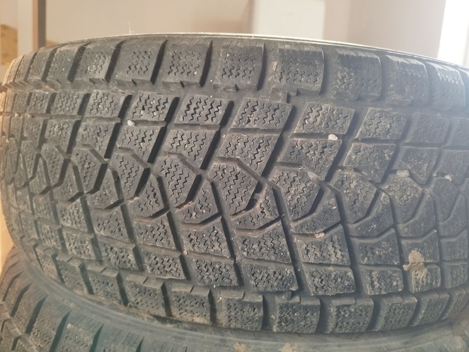 Шины зимние Triangle