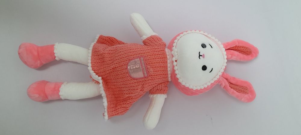 Кролик в одежде.