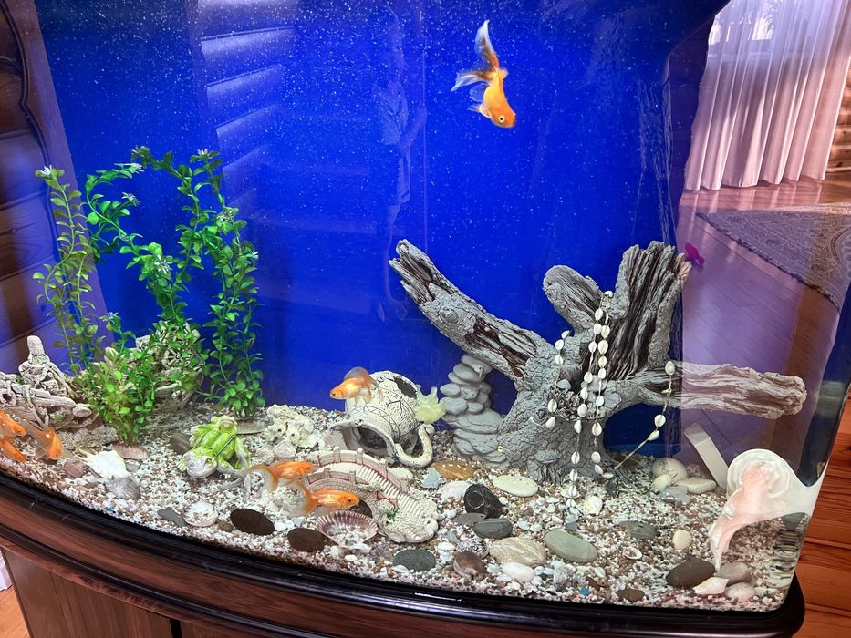 Продам аквариум 500 литров