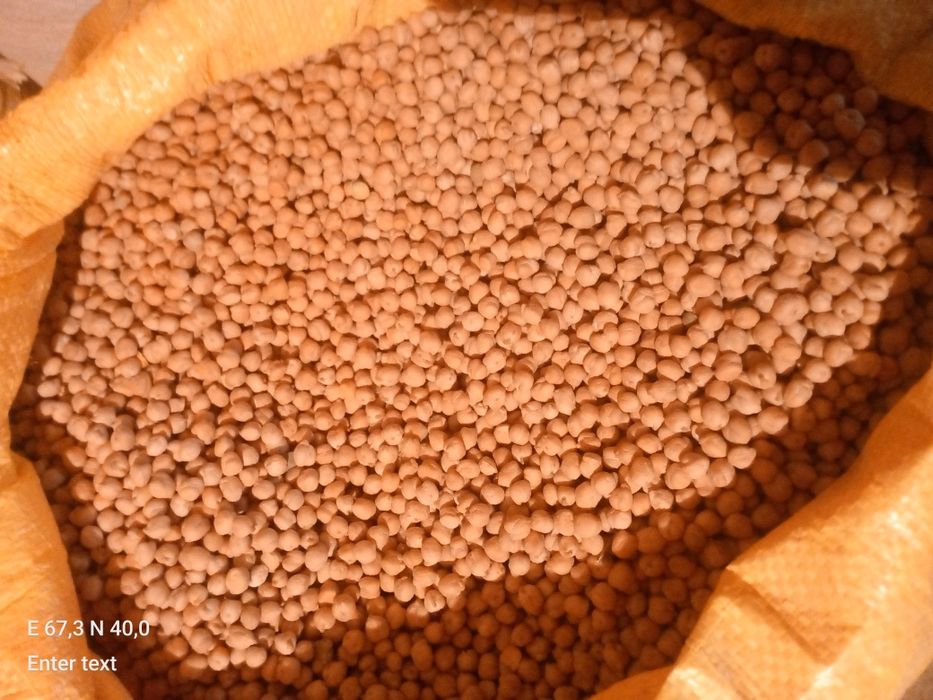 Noʻxat sotiladi loʻnda