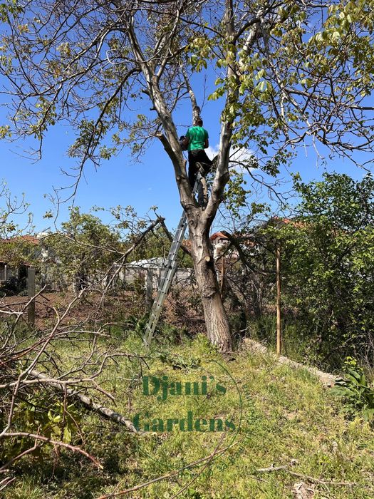 Рязане на дървета, санитарна сеч, дробене на клони, извозване