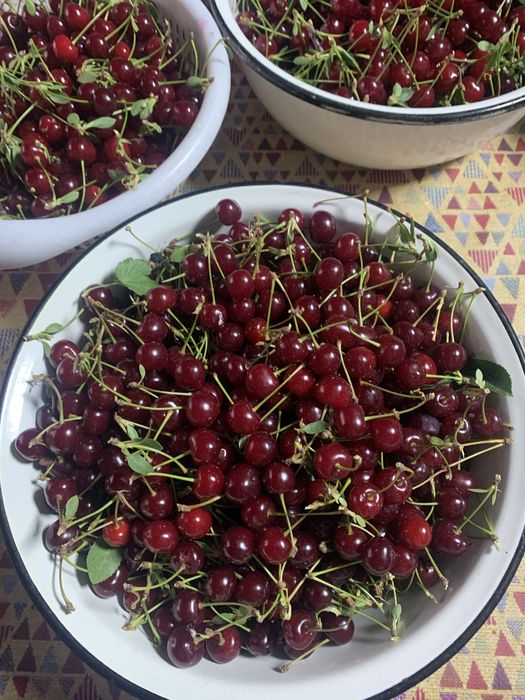 Домашня спелая черешня