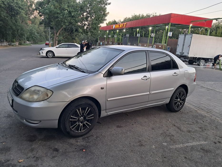 Машина. Тойота корола