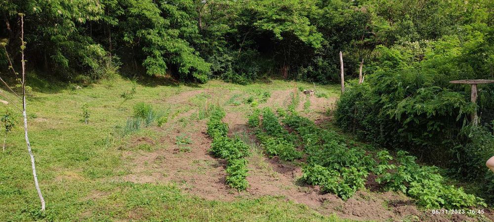 Продава се Къща в с. Горна Василица, Област София-област - 80 кв.м за 319 €/кв.м - Снимка #7