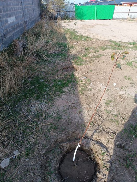 Участок 9 соток АПЗ