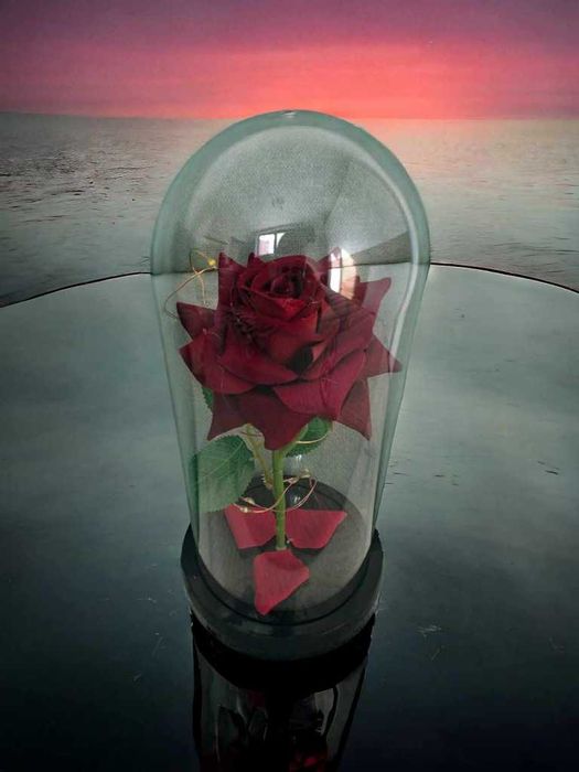 Красива осветена роза в стъкленица с красива подаръчна кутия