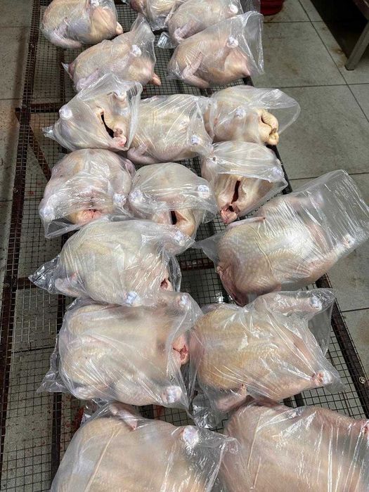 Домашнее мясо бройлера. Бройлеры.