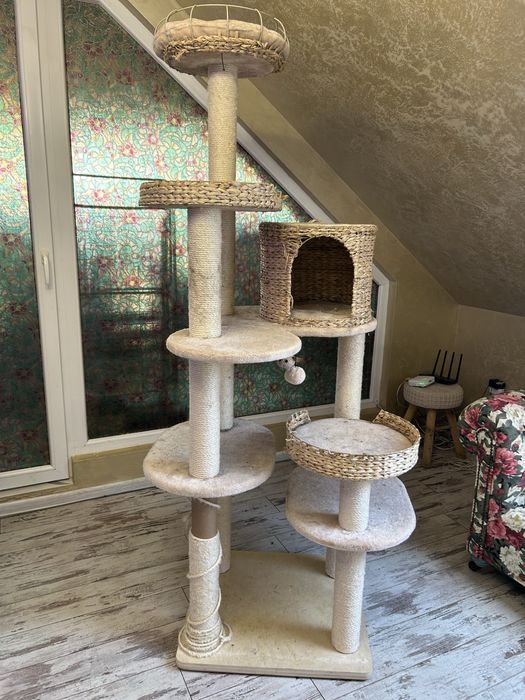 Голяма драскалка за котки