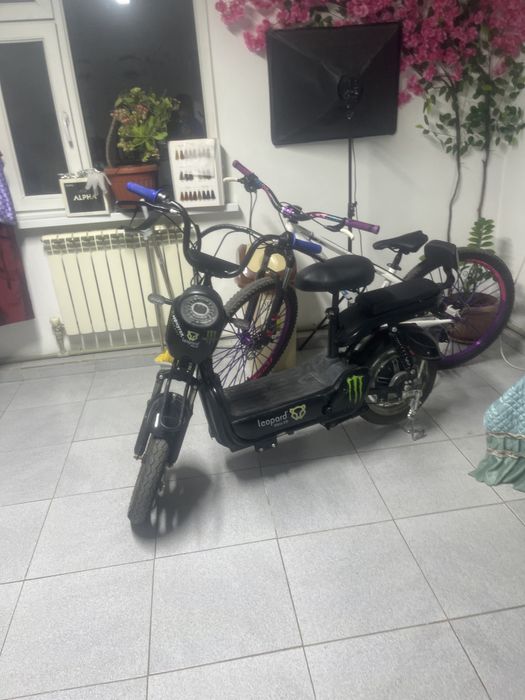 Ieopart max E8 800vat
