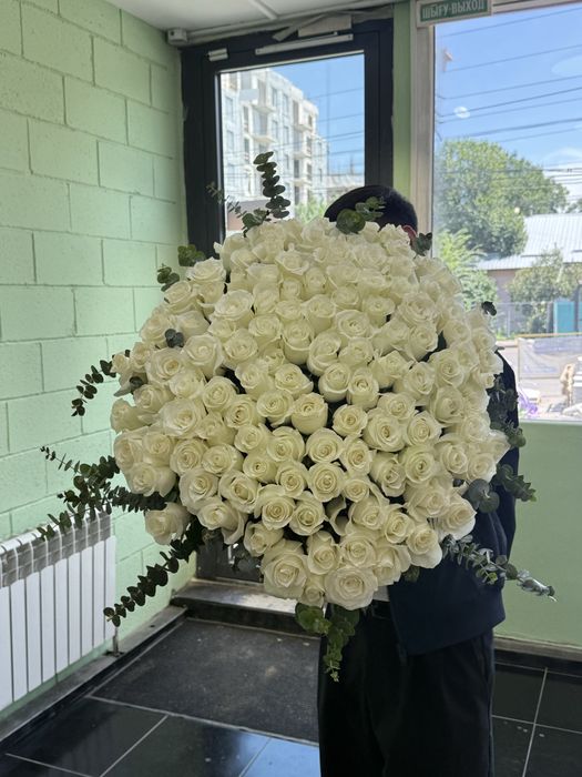 359 роза белая свежая