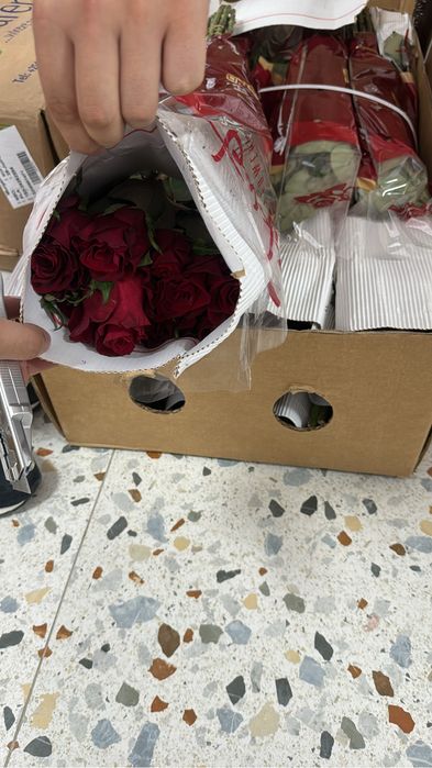 Розы  оптом