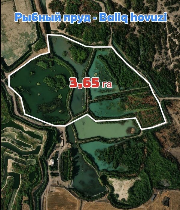 1) Рыбхоз / Кўл. 2) Дача / Dala hovli.