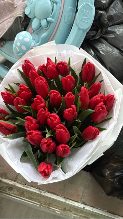 31 шт тюльпан цветы