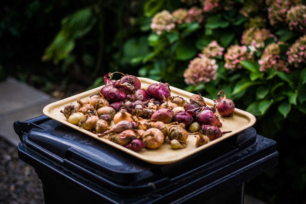 aparat foto Canon 1000d