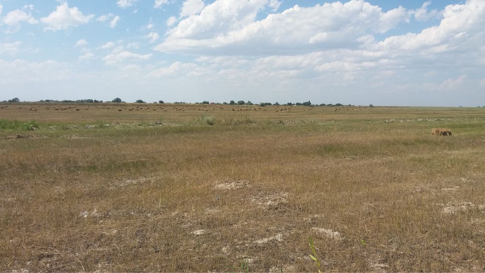 Земельный участок 1,26 гектар