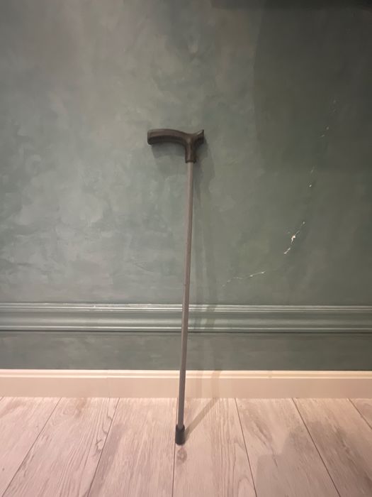 Трость ручная (tayoq hassa)