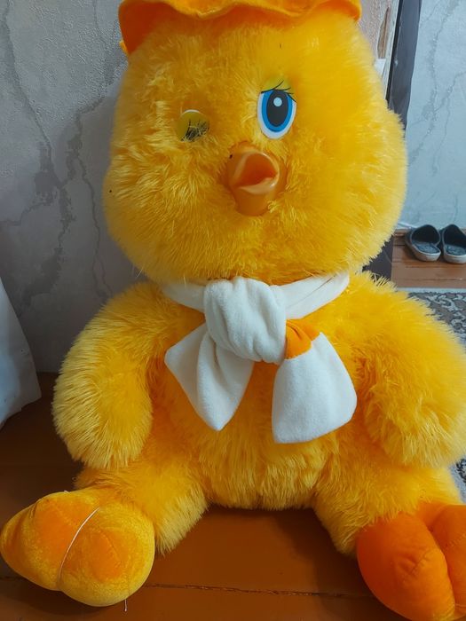 Отдам утенка даром