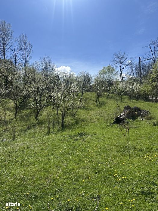 Provița de Jos - teren intravilan 2035mp - 13 Euro/mp