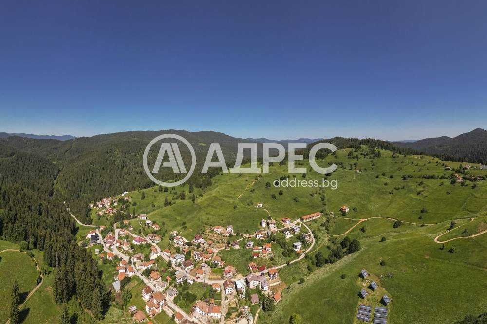 Продава се Парцел в с. Проглед, Област Смолян - 1325 кв.м за 48 €/кв.м - Снимка #10