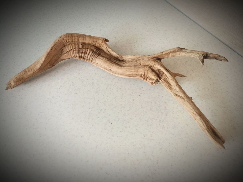 Коряги для аквариума. Камни для аквариума.