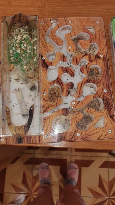 Формикарий от Антпланет без муравьёв.