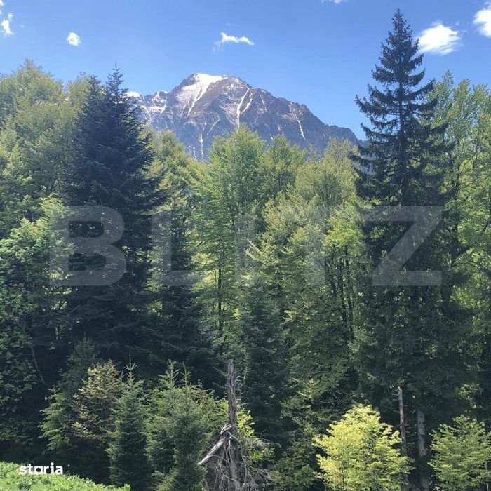 De vanzare, teren intravilan 5.500mp, Predeal