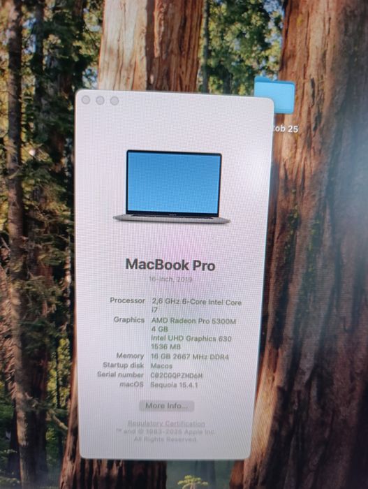 Лаптоп MacBook 16 монитор Dell