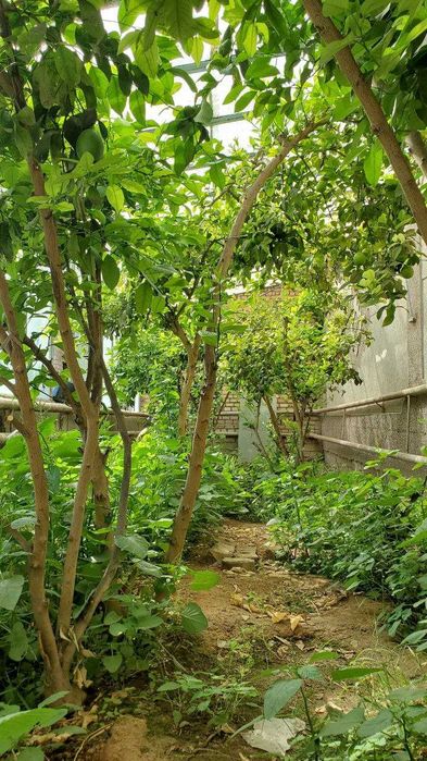 Kattaqo'rg'on shaxrida hovli sotiladi