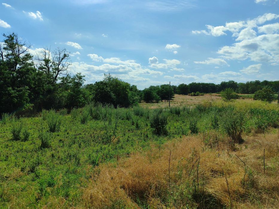 Продава се Къща в с. Къпиново, Област Добрич - 80 кв.м за 49 €/кв.м - Снимка #3