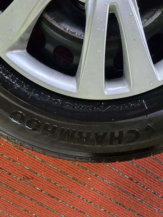 Cobalt 14 diska balon charmhoo yumshoq baloni bilan  balon