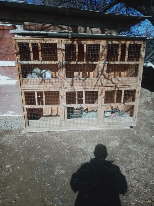 Клетка қоразға двухярусный