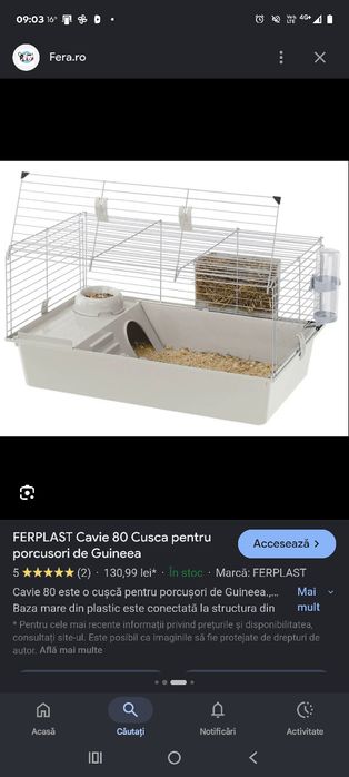Vând hamster cu tot ce se vede în imagini