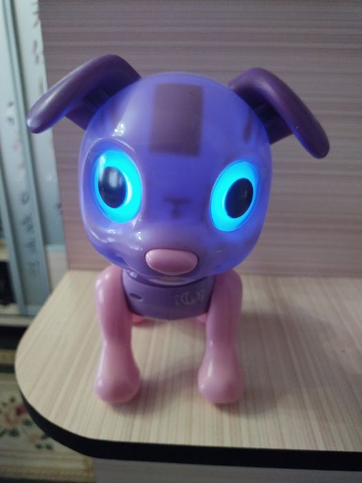 Собачка интерактивная и самолёт музыкальный