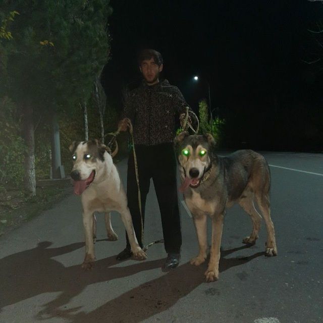 Malish. Sotuvda. Krasavcik