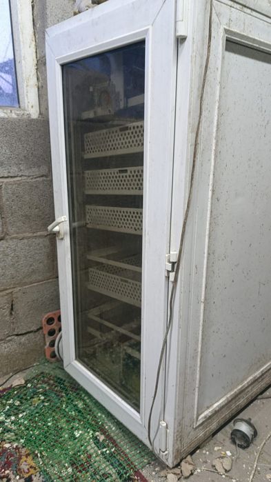 Инкубатор ИфХ 500