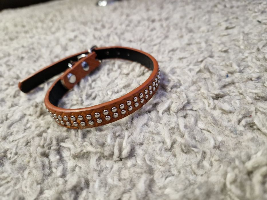 Продаётся шлейка для собаки