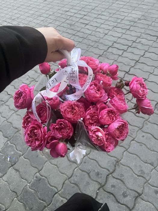 Жаңа келген свежи гүлдер