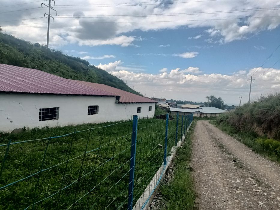 К.х 125 соток. Дом и ферма 30 на 10 для КРС