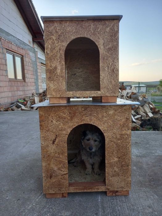 Vxnd casuta pentru animale de companie