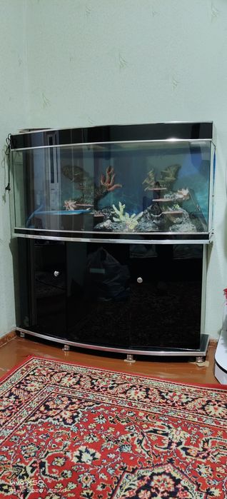 Срочно продам аквариум