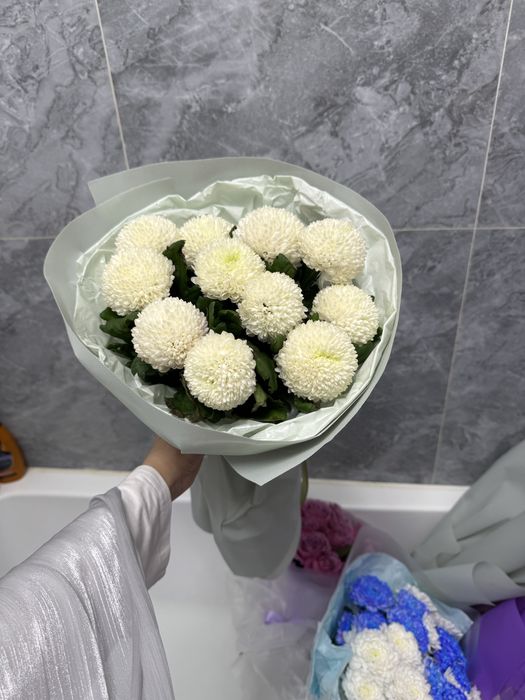 Цветы за полцены! Отдаем дешево