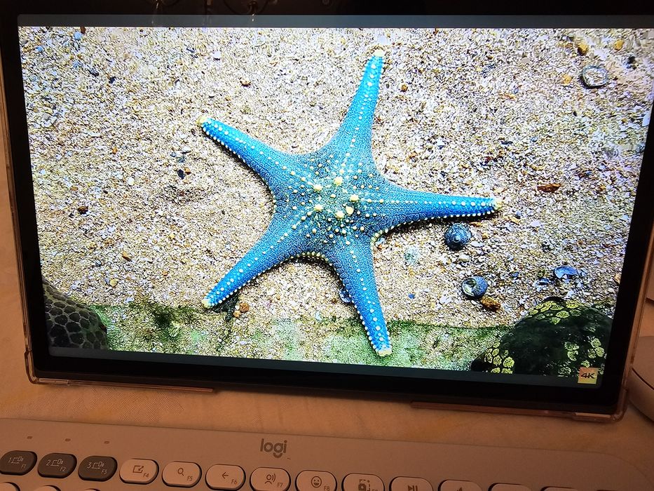 Lenovo Tab Plus - Tableta + stylus + tastatura + mouse