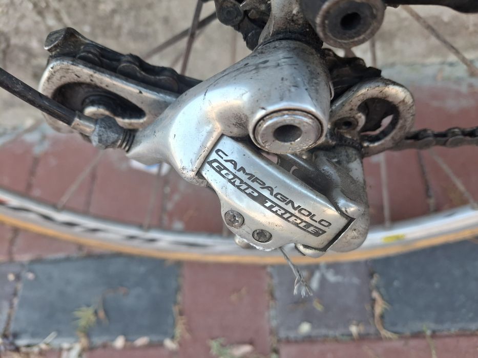 Cursiera carbon Ridley